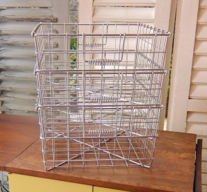 10847318 681686548623457 4238921080595211391 o 300x278 Stainless Basket